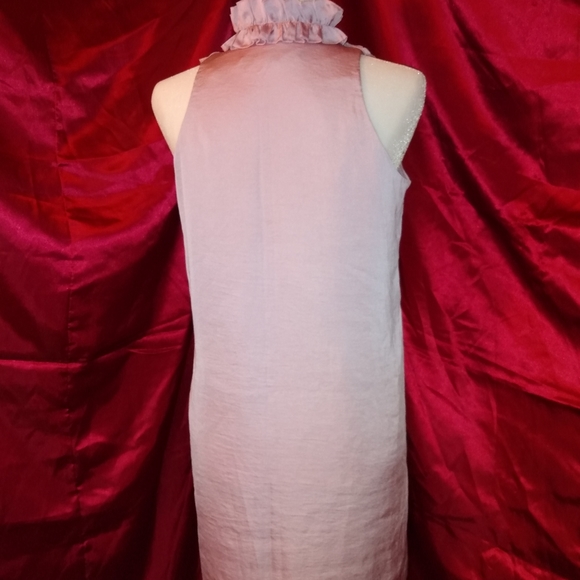 Pink Ruffle Top Dress - Picture 2 of 5